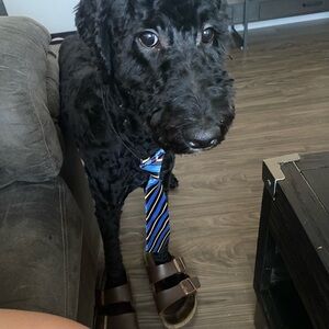 Meet your Posher, Martha